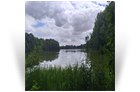 MORZYCE